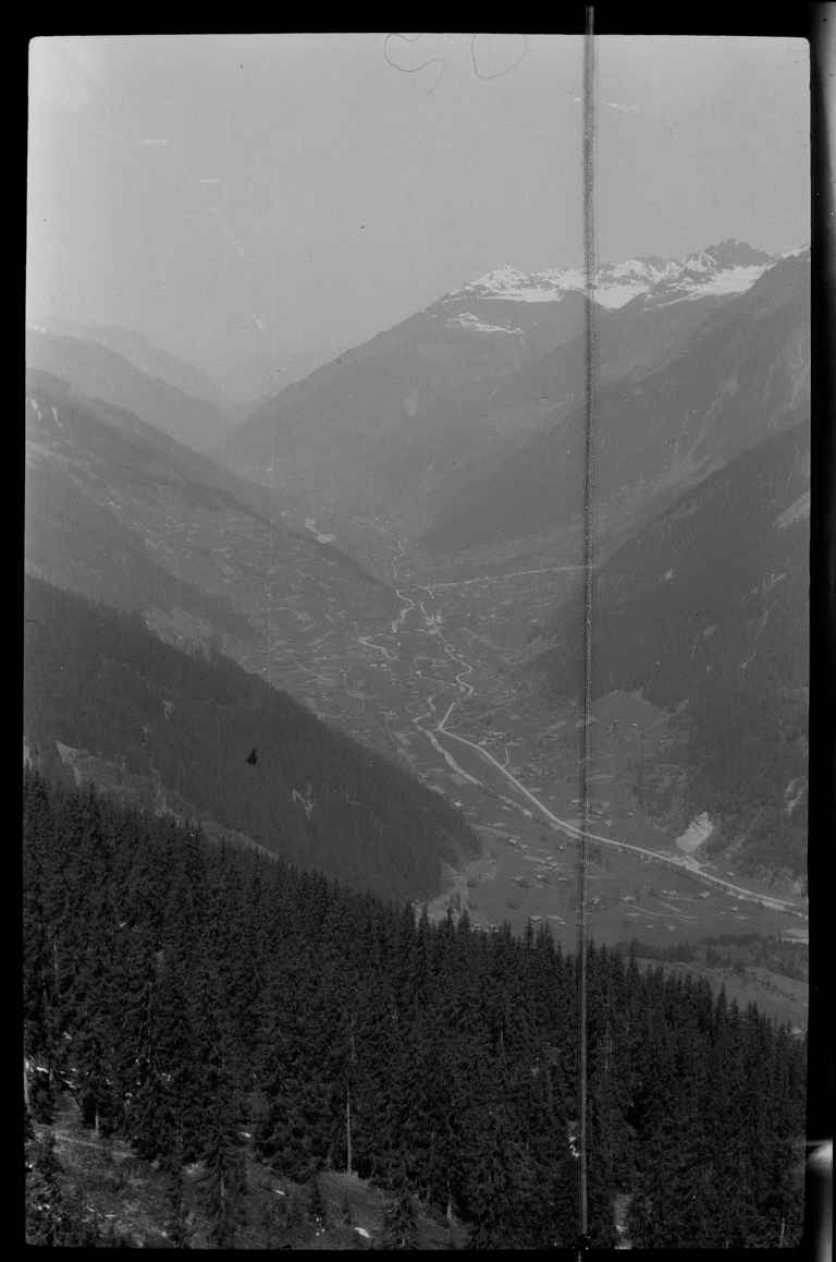 Amateur-Photohaus (Film)