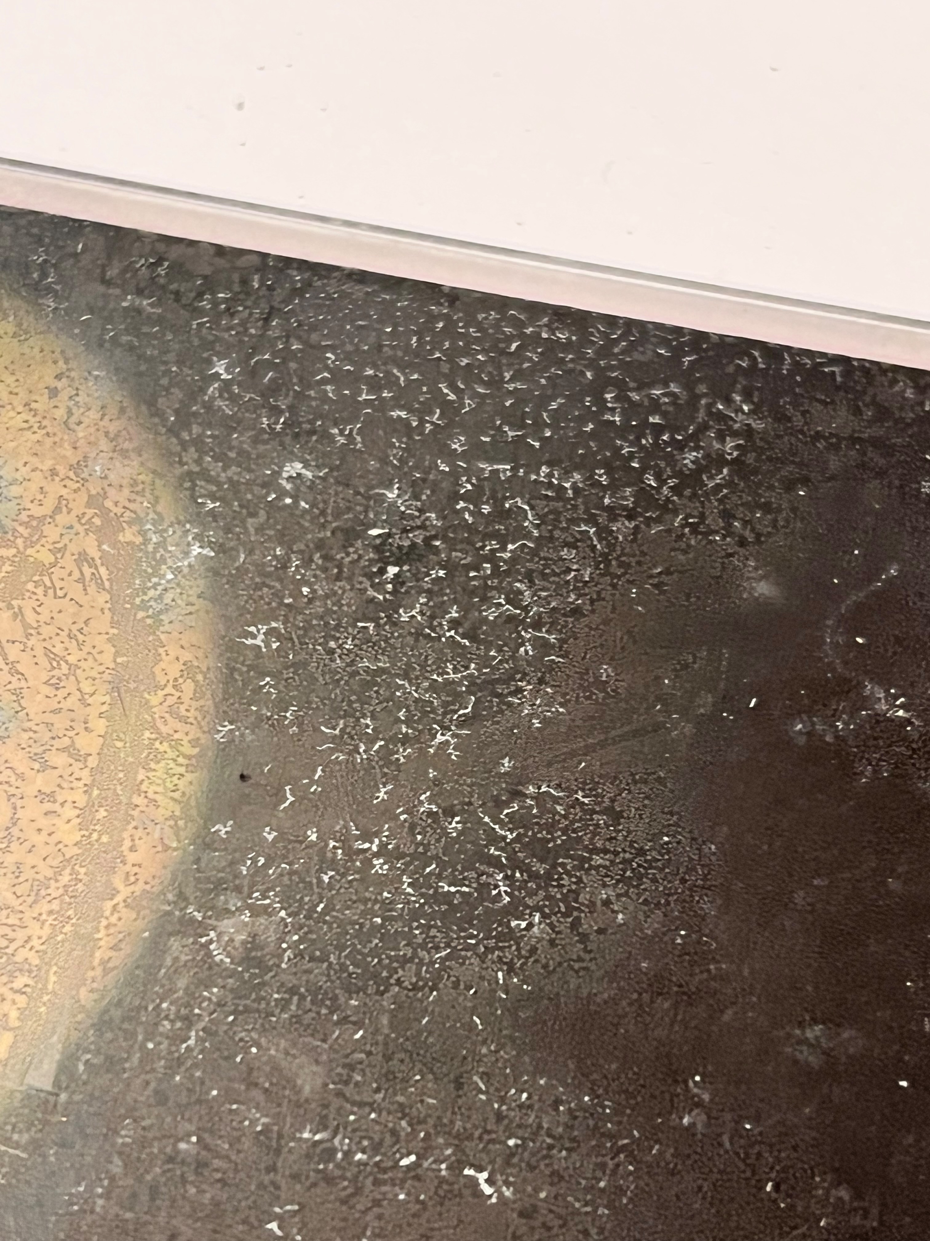 Glaspilz auf einem der Negative